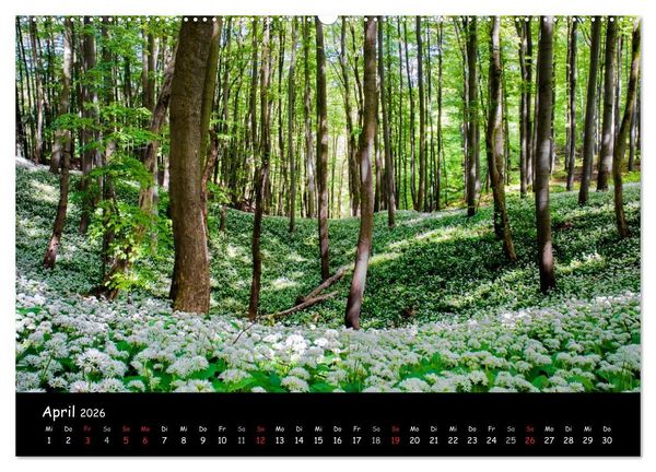 Produktbild: Faszination Harz 2026 (Wandkalender 2026 DIN A2 quer), CALVENDO Monatskalender