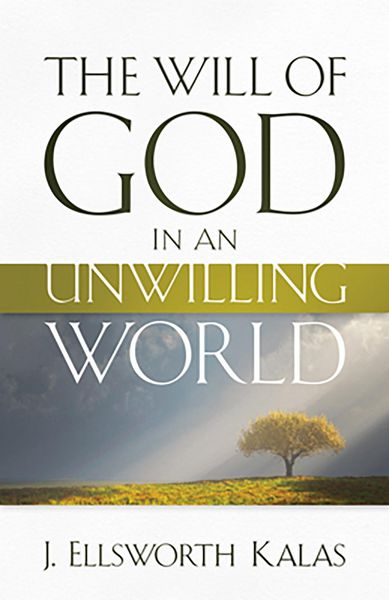 Produktbild: The Will of God in an Unwilling World