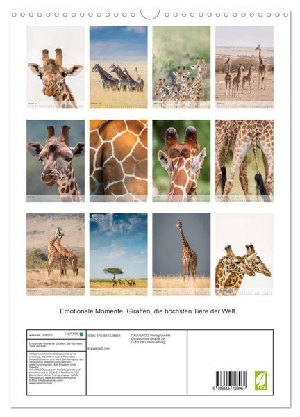 Produktbild: Emotionale Momente: Giraffen, die h&ouml;chsten Tiere der Welt. (Wandkalender 2026 DIN A3 hoch), CALVENDO Monatskalender
