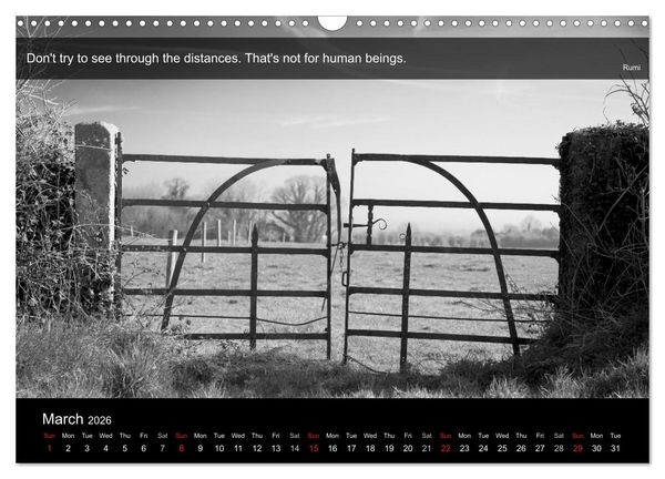 Produktbild: Through the Gate with Rumi (Wall Calendar 2026 DIN A3 landscape), CALVENDO 12 Month Wall Calendar