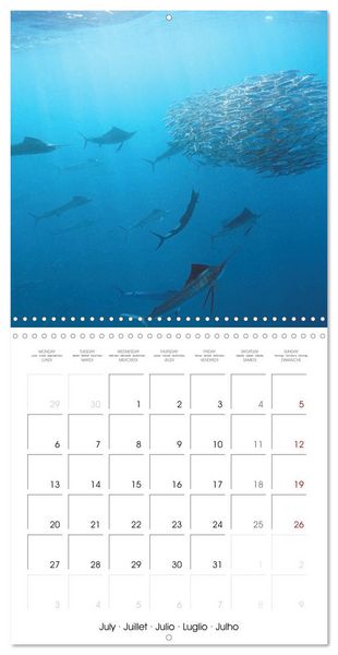 Produktbild: Diving in the deep blue sea (Wall Calendar 2026 12 &times; 12 Inch) CALVENDO 12 Month Wall Calendar