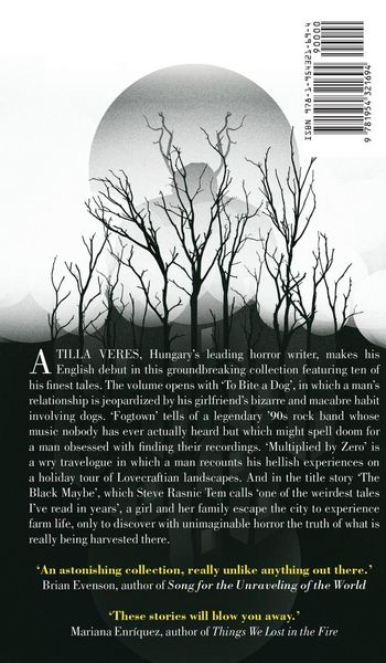 Produktbild: The Black Maybe