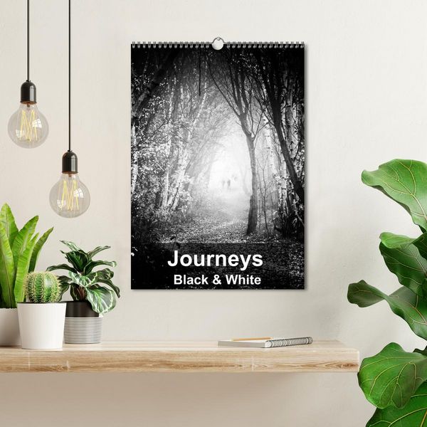 Produktbild: Journeys - Black & White (Wall Calendar 2026 DIN A3 portrait), CALVENDO 12 Month Wall Calendar