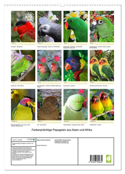Produktbild: Farbenpr&auml;chtige Papageien aus Asien und Afrika (hochwertiger Premium Wandkalender 2026 DIN A2 hoch), Kunstdruck in Hochglanz