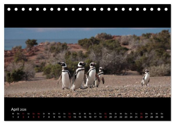Produktbild: Patagonien - Ungez&auml;hmtes Land (Tischkalender 2026 DIN A5 quer), CALVENDO Monatskalender