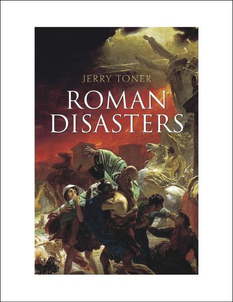 Produktbild: Roman Disasters