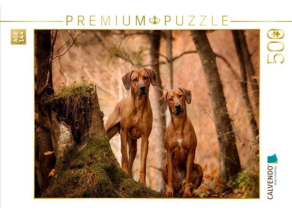 CALVENDO Puzzle Ein Motiv aus dem Kalender Rhodesian Ridgeback - Herzen auf vier Pfoten | 500 Teile Lege-Größe 48 × 36 cm Foto-Puzzle für Erwachsene