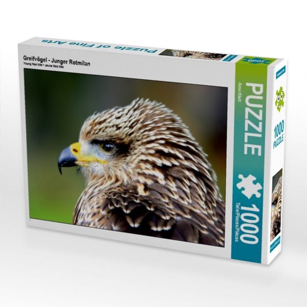 Produktbild: CALVENDO Puzzle Greifv&ouml;gel - Junger Rotmilan | 1000 Teile Lege-Gr&ouml;&szlig;e 64x48cm Foto-Puzzle f&uuml;r gl&uuml;ckliche Stunden