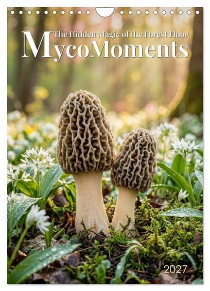 Produktbild: MycoMoments (Wall Calendar 2027 DIN A4 portrait), CALVENDO 12 Month Wall Calendar