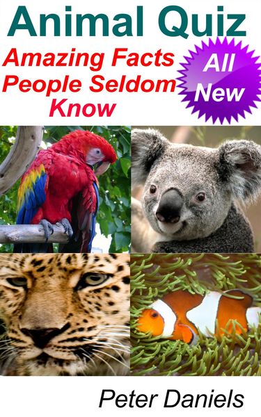 Produktbild: Animal Quiz