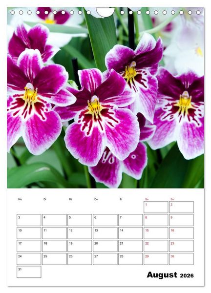 Produktbild: Orchideen - Tropische Sch&ouml;nheiten (Wandkalender 2026 DIN A4 hoch), CALVENDO Monatskalender