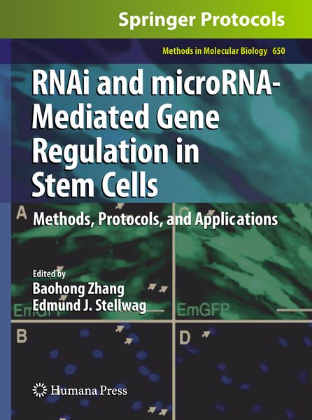 Produktbild: RNAi and microRNA-Mediated Gene Regulation in Stem Cells