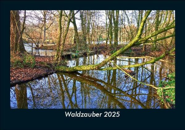 Produktbild: Waldzauber 2025 Fotokalender DIN A5