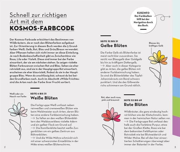 Produktbild: BASIC Fr&uuml;chte und Wildkr&auml;uter