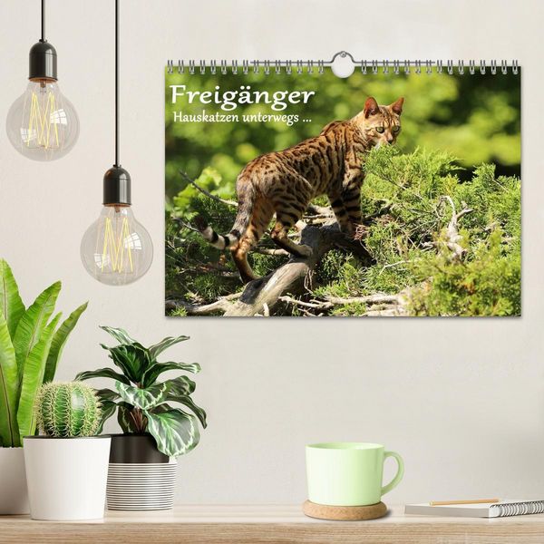 Produktbild: Freig&auml;nger - Hauskatzen unterwegs (Wandkalender 2026 DIN A4 quer), CALVENDO Monatskalender