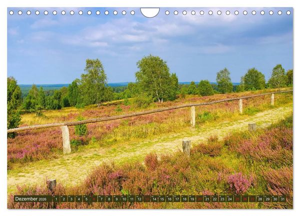 Produktbild: L&uuml;neburger Heide - Wanderung rund um Wilsede und Totengrund (Wandkalender 2026 DIN A4 quer), CALVENDO Monatskalender
