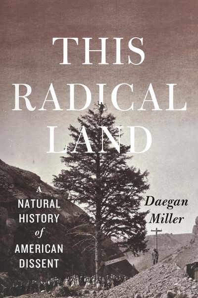 Produktbild: This Radical Land