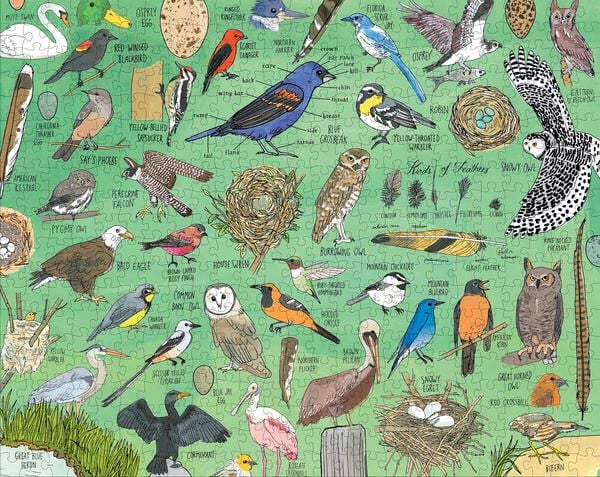 Produktbild: Nature Anatomy