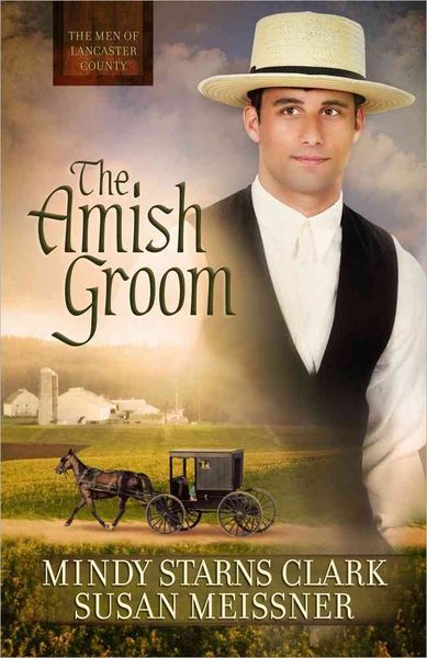 Produktbild: The Amish Groom
