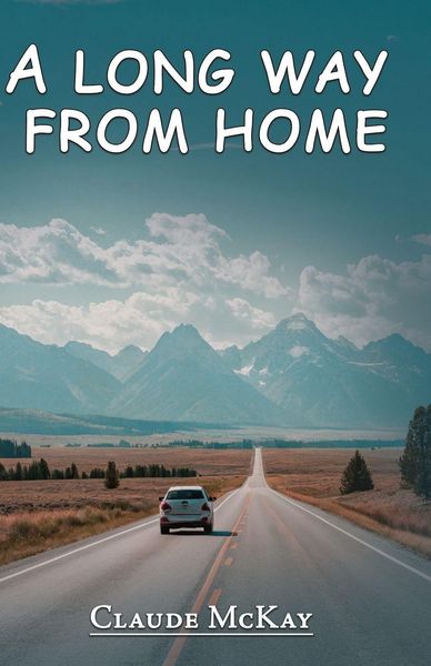 Produktbild: A long way from home