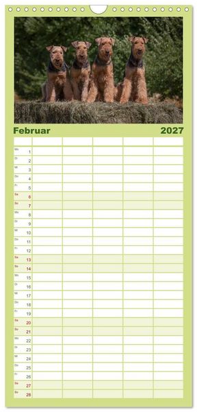 Produktbild: Familienplaner 2027 - Airedale-Terrier, was sonst! mit 5 Spalten (Wandkalender, 21 x 45 cm) CALVENDO