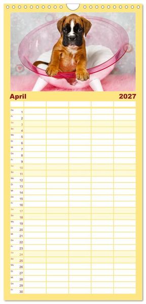 Produktbild: Familienplaner 2027 - Deutscher Boxer 2027 mit 5 Spalten (Wandkalender, 21 x 45 cm) CALVENDO