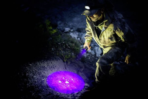 Produktbild: Ansmann Action 400 UV LED, UV-Lampe Taschenlampe batteriebetrieben 100 lm 27 h