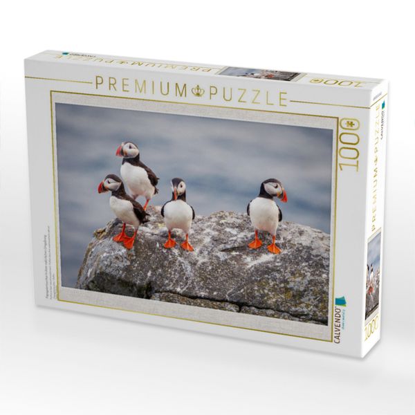 Produktbild: CALVENDO Puzzle Papageientaucher in ihrer nat&uuml;rlichen Umgebung | 1000 Teile Lege-Gr&ouml;&szlig;e 64x48cm Foto-Puzzle f&uuml;r gl&uuml;ckliche Stunden