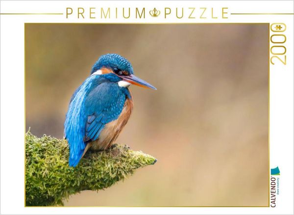 Produktbild: CALVENDO Puzzle Eisvogel Portrait | 2000 Teile Lege-Gr&ouml;&szlig;e 90x67cm Foto-Puzzle f&uuml;r gl&uuml;ckliche Stunden