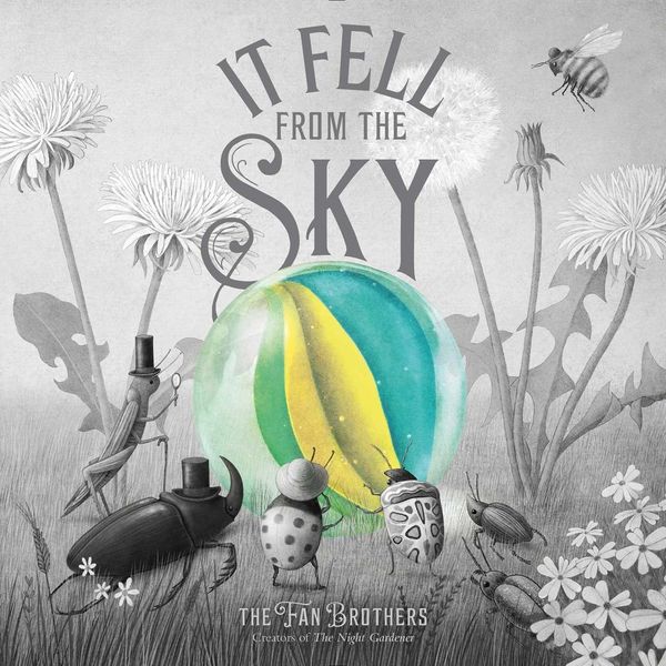 Produktbild: It Fell from the Sky