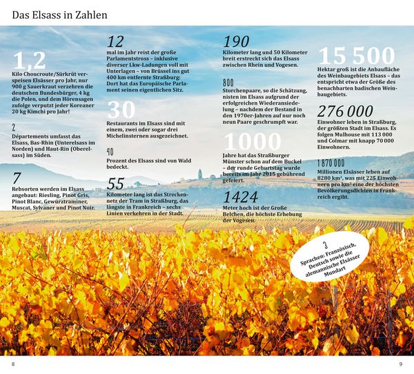 Produktbild: DuMont direkt Reisef&uuml;hrer Elsass