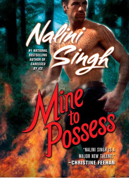 Produktbild: Mine to Possess
