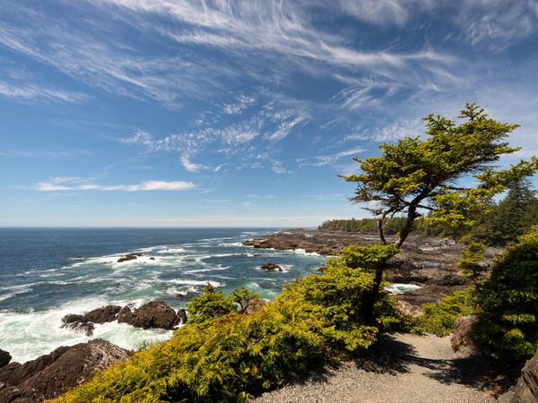 Produktbild: CALVENDO Puzzle Ucluelet, Vancouver Island / British Columbia | 1000 Teile Lege-Gr&ouml;&szlig;e 64x48cm Foto-Puzzle f&uuml;r gl&uuml;ckliche Stunden