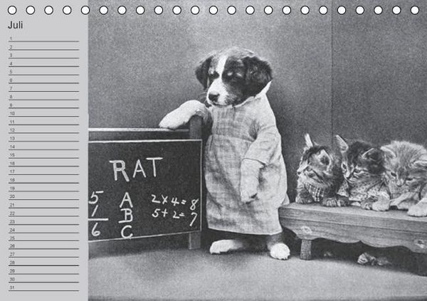 Produktbild: Katzen und Hunde - Nostalgie auf Pfoten (Tischkalender immerw&auml;hrend DIN A5 quer)