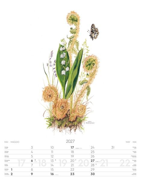Produktbild: Alpenblumen-Aquarelle Kalender 2027