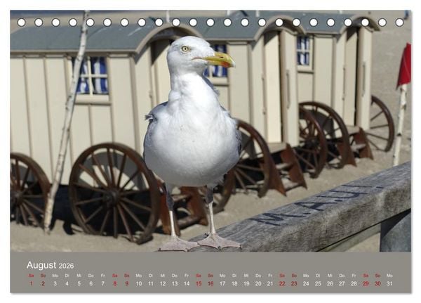 Produktbild: Norderney - Meine Trauminsel (Tischkalender 2026 DIN A5 quer), CALVENDO Monatskalender