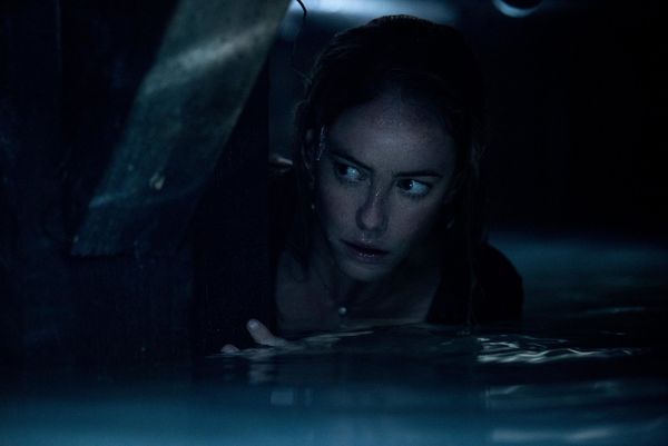 Produktbild: Crawl (4K Ultra HD) (+ Blu-ray)