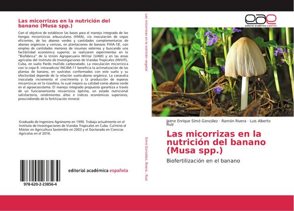 Produktbild: Las micorrizas en la nutrici&oacute;n del banano (Musa spp.)