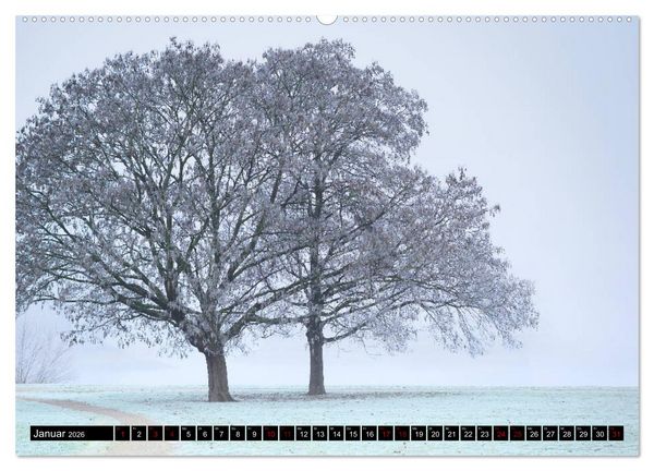 Produktbild: Mannheimer Impressionen. (Wandkalender 2026 DIN A2 quer), CALVENDO Monatskalender