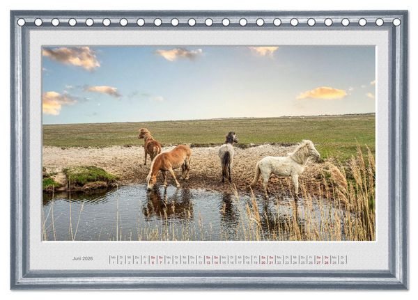 Produktbild: Ich bin ein Isl&auml;nder (Tischkalender 2026 DIN A5 quer), CALVENDO Monatskalender