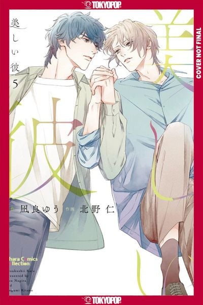 Produktbild: My Beautiful Man, Volume 5 (Manga)
