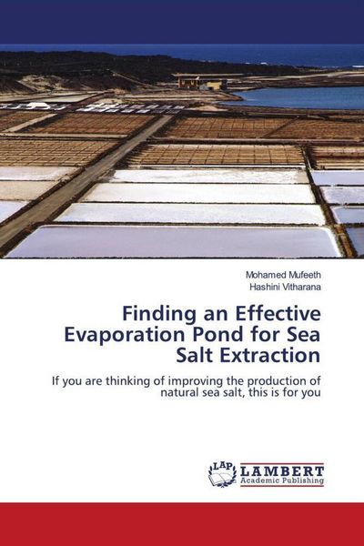 Produktbild: Finding an Effective Evaporation Pond for Sea Salt Extraction