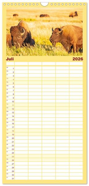 Produktbild: Familienplaner 2026 - USA - National und State Parks im Nordwesten mit 5 Spalten (Wandkalender, 21 x 45 cm) CALVENDO