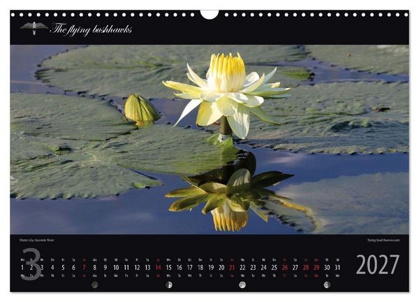 Produktbild: Botswana Blickwinkel 2027 (Wandkalender 2027 DIN A3 quer), CALVENDO Monatskalender
