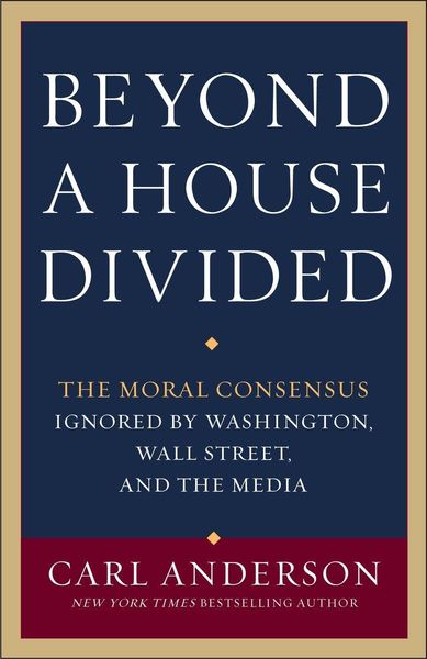 Produktbild: Anderson, C: Beyond a House Divided