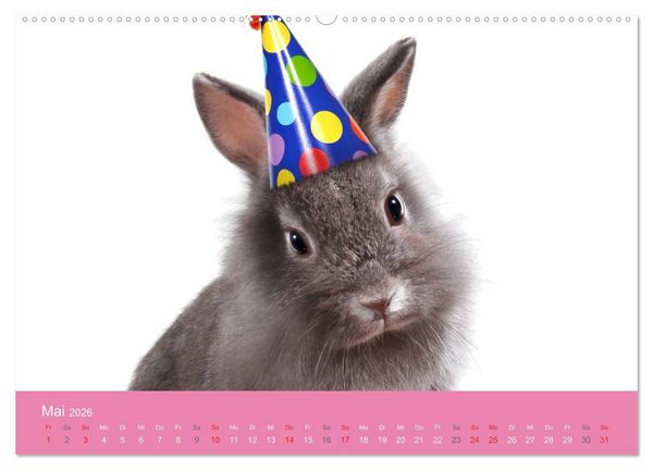 Produktbild: S&uuml;&szlig;e Tier-Babys! (hochwertiger Premium Wandkalender 2026 DIN A2 quer), Kunstdruck in Hochglanz