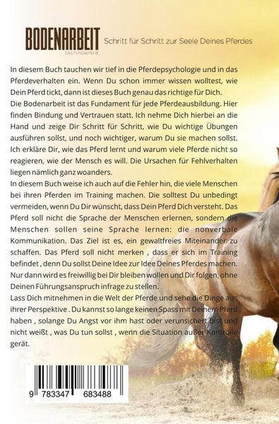 Produktbild: Bodenarbeit - Das Fundament