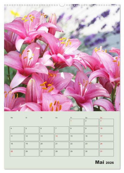 Produktbild: Lilien im Garten (hochwertiger Premium Wandkalender 2026 DIN A2 hoch), Kunstdruck in Hochglanz