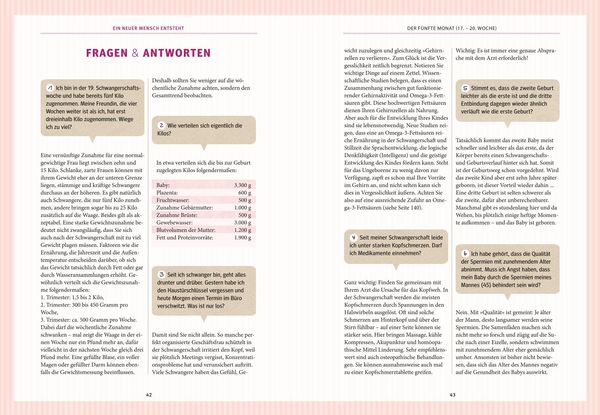 Produktbild: Schwangerschaft und Geburt