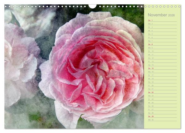 Produktbild: Romantische Rosen (Wandkalender 2026 DIN A3 quer), CALVENDO Monatskalender